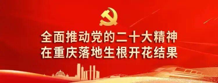 合川代表团举行全体会议 审议市政府工作报告
